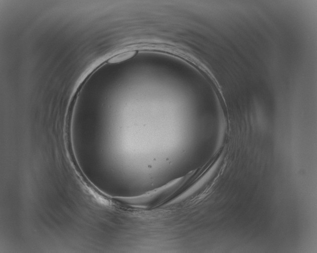 X0000051861533200506241308