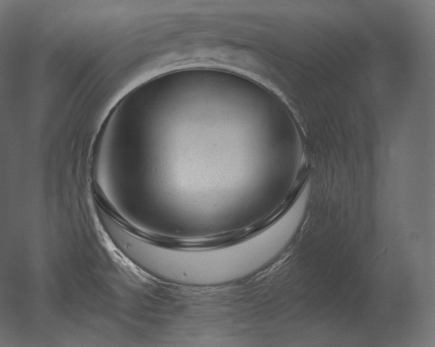 X0000051861534200506241308