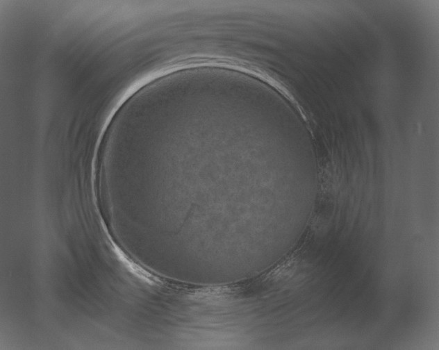 X0000051861535200506241308