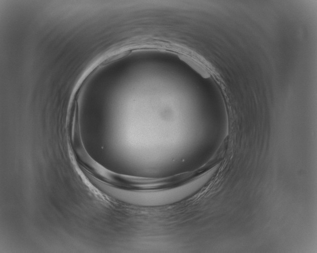 X0000051861536200506241308