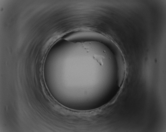 X0000051860001200507012352