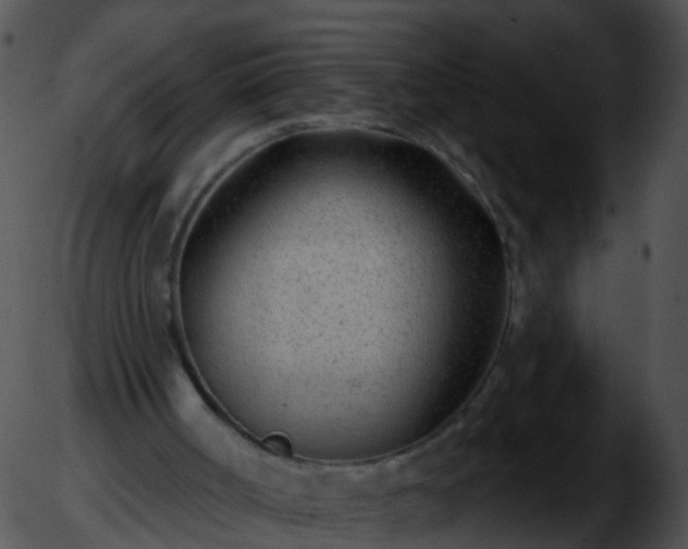 X0000051860002200507012352