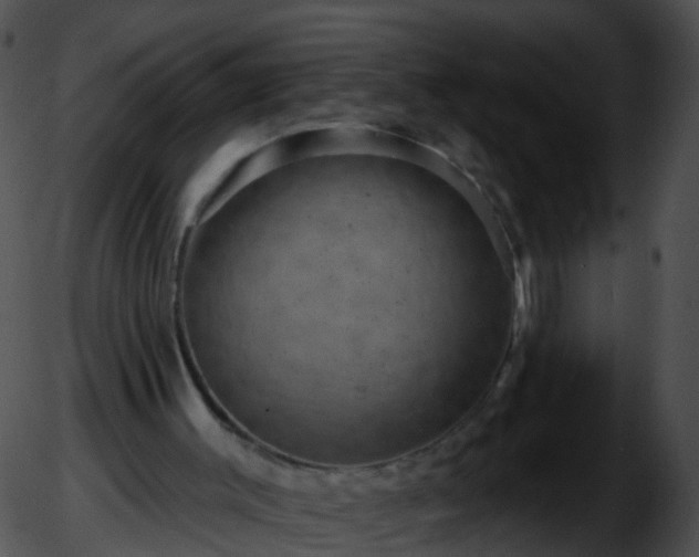 X0000051860003200507012352