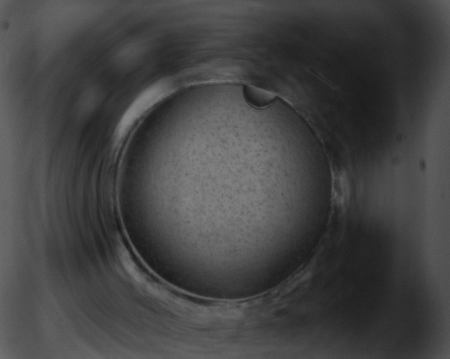 X0000051860004200507012352