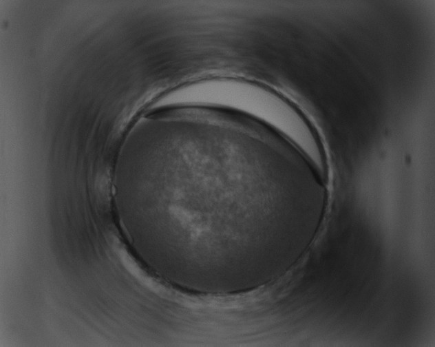 X0000051860009200507012352