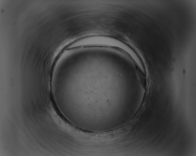 X0000051860011200507012352