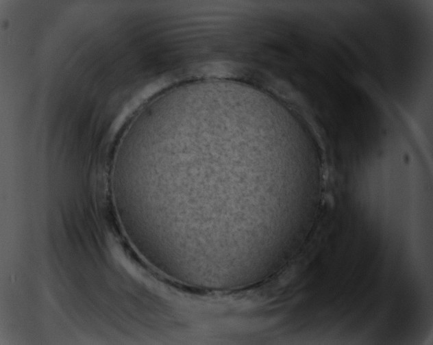 X0000051860012200507012352