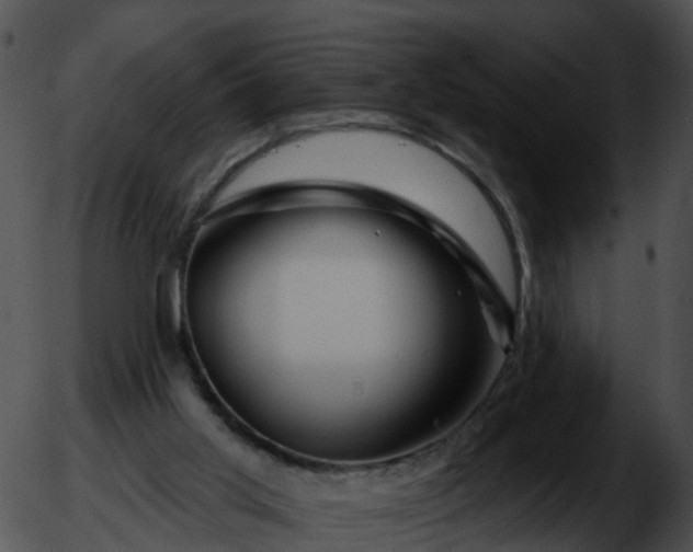 X0000051860013200507012352