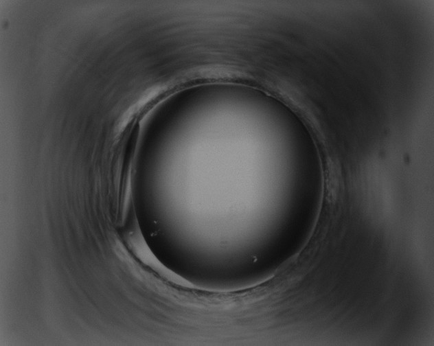 X0000051860015200507012352