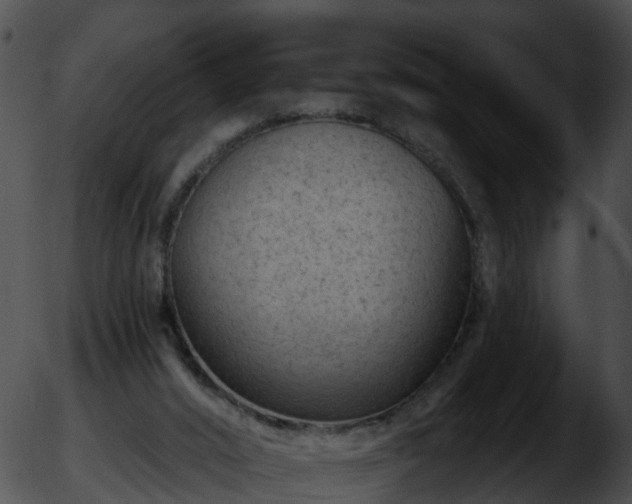 X0000051860016200507012352