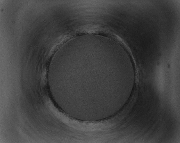 X0000051860018200507012352