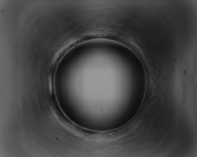 X0000051860020200507012352