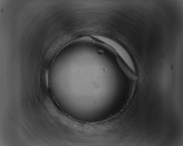 X0000051860022200507012352