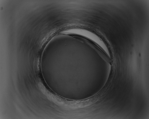 X0000051860023200507012352