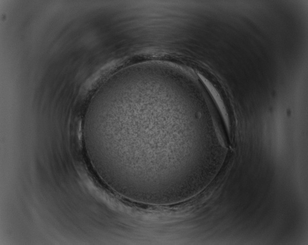 X0000051860024200507012352