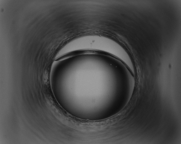 X0000051860025200507012352