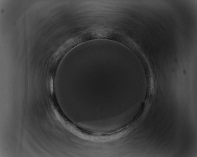 X0000051860027200507012352