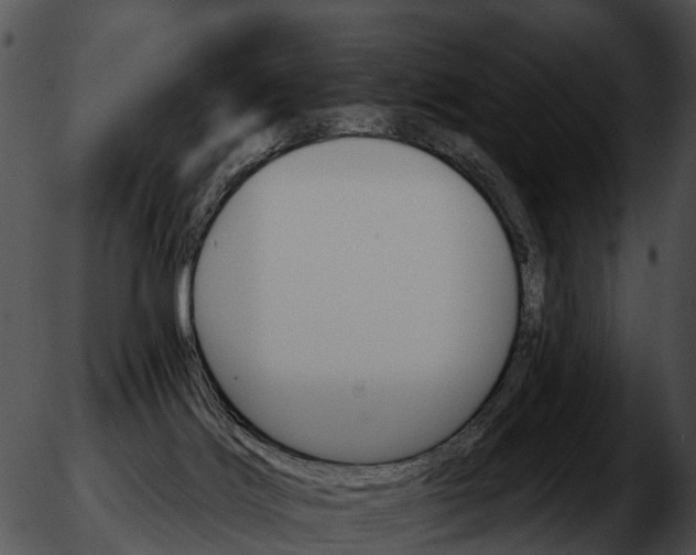 X0000051860028200507012352