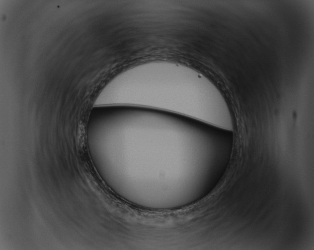 X0000051860029200507012352