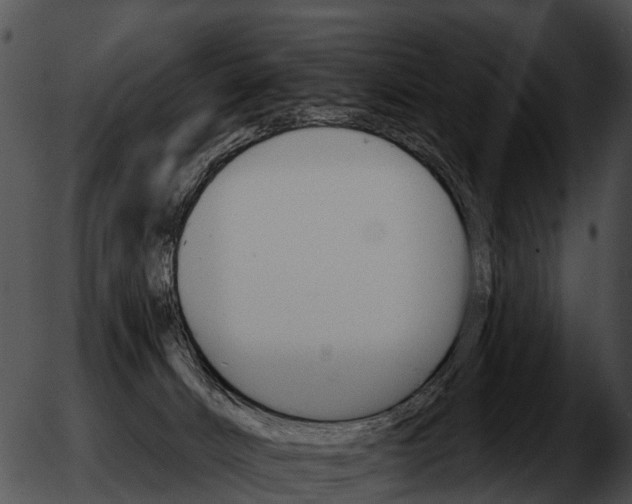 X0000051860032200507012352