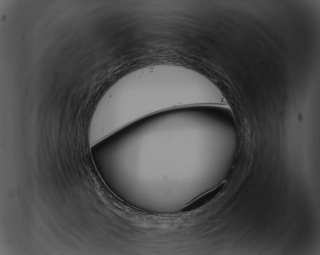 X0000051860033200507012352