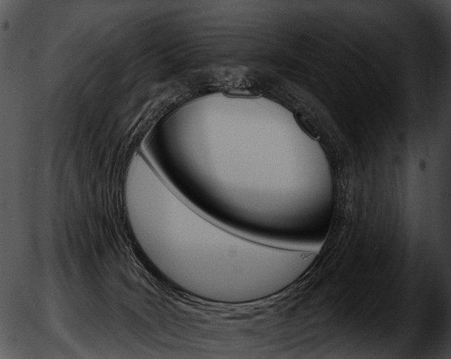 X0000051860035200507012351