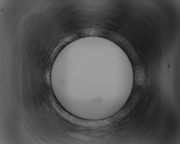 X0000051860036200507012351