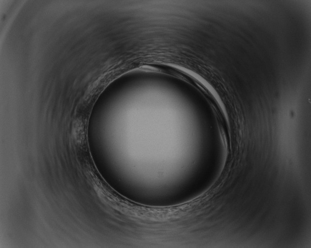 X0000051860037200507012351