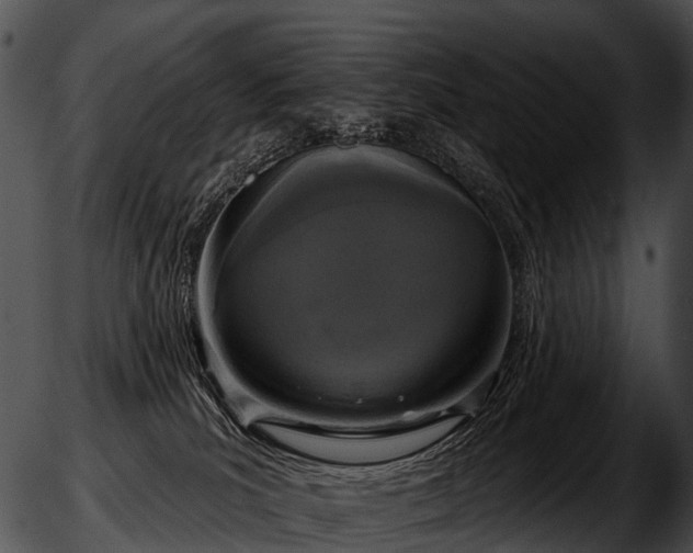 X0000051860039200507012351