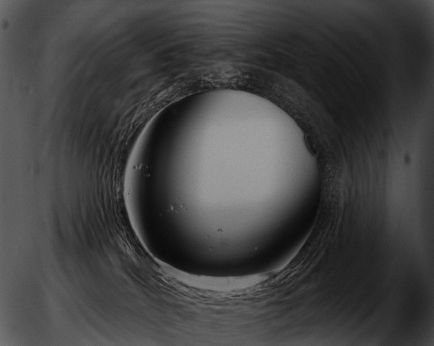 X0000051860040200507012351