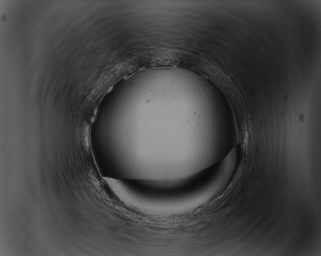 X0000051860041200507012351