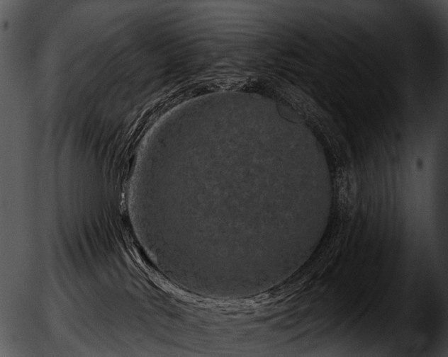 X0000051860042200507012351