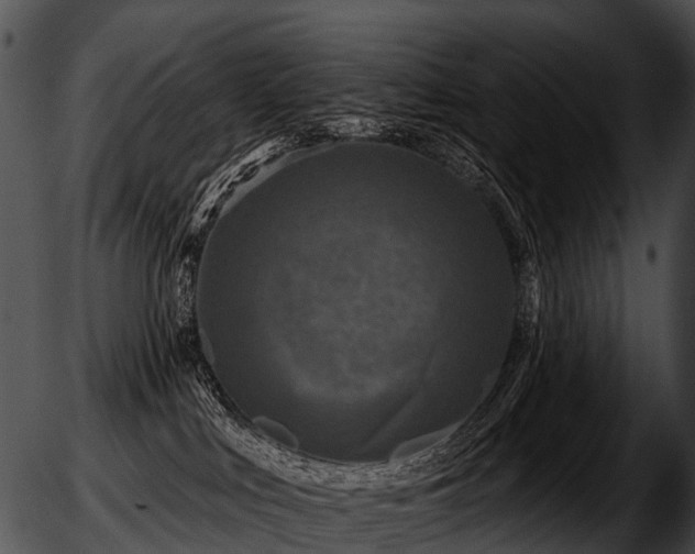 X0000051860043200507012351