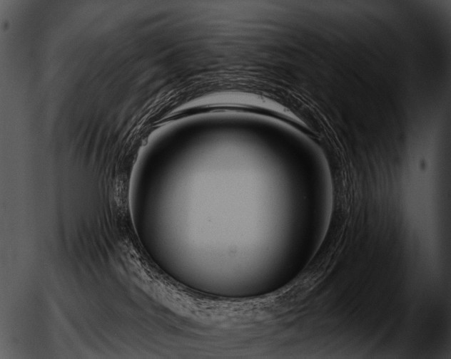 X0000051860044200507012351