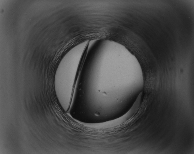 X0000051860045200507012351