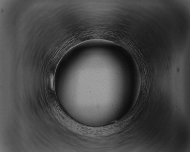 X0000051860046200507012351