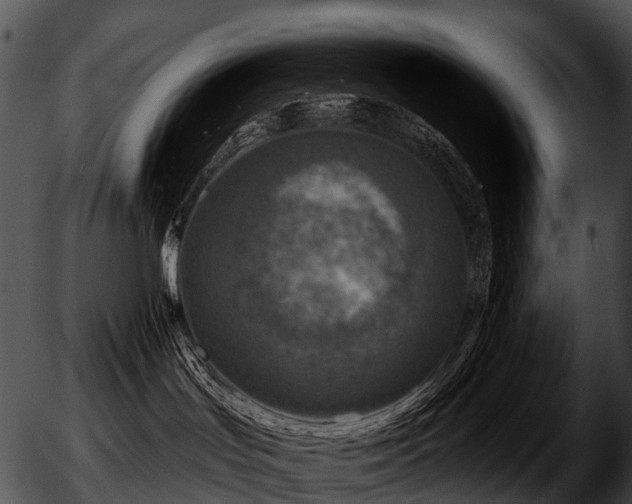 X0000051860047200507012351