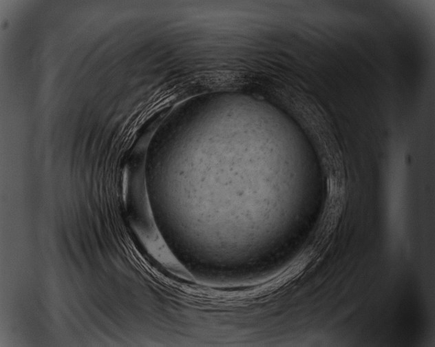 X0000051860048200507012351