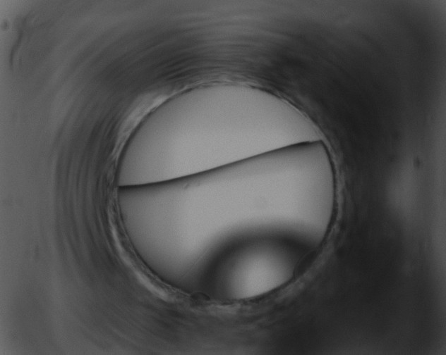 X0000051860049200507012350