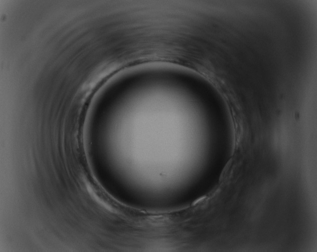 X0000051860050200507012350