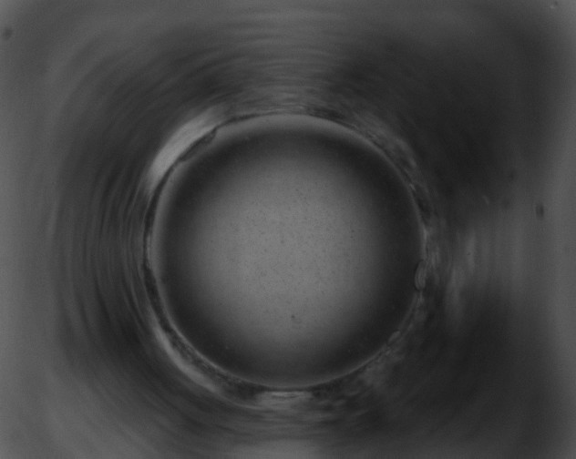 X0000051860051200507012351