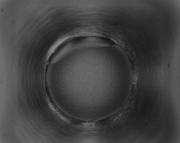 X0000051860052200507012351