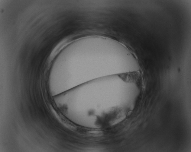 X0000051860053200507012351