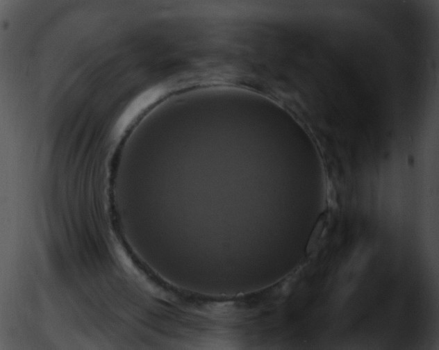 X0000051860054200507012351