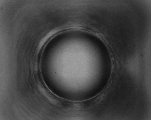 X0000051860056200507012351