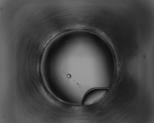 X0000051860057200507012351