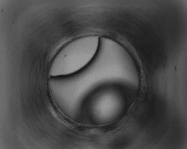 X0000051860058200507012351