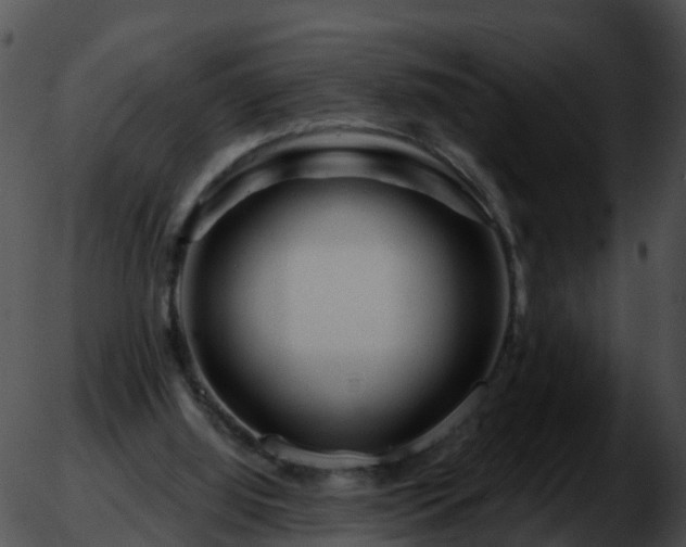 X0000051860060200507012351