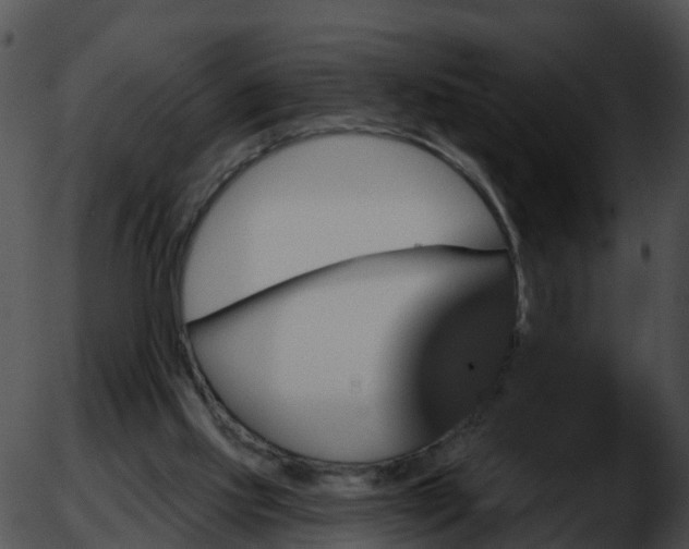 X0000051860061200507012351