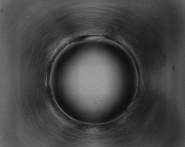 X0000051860062200507012351